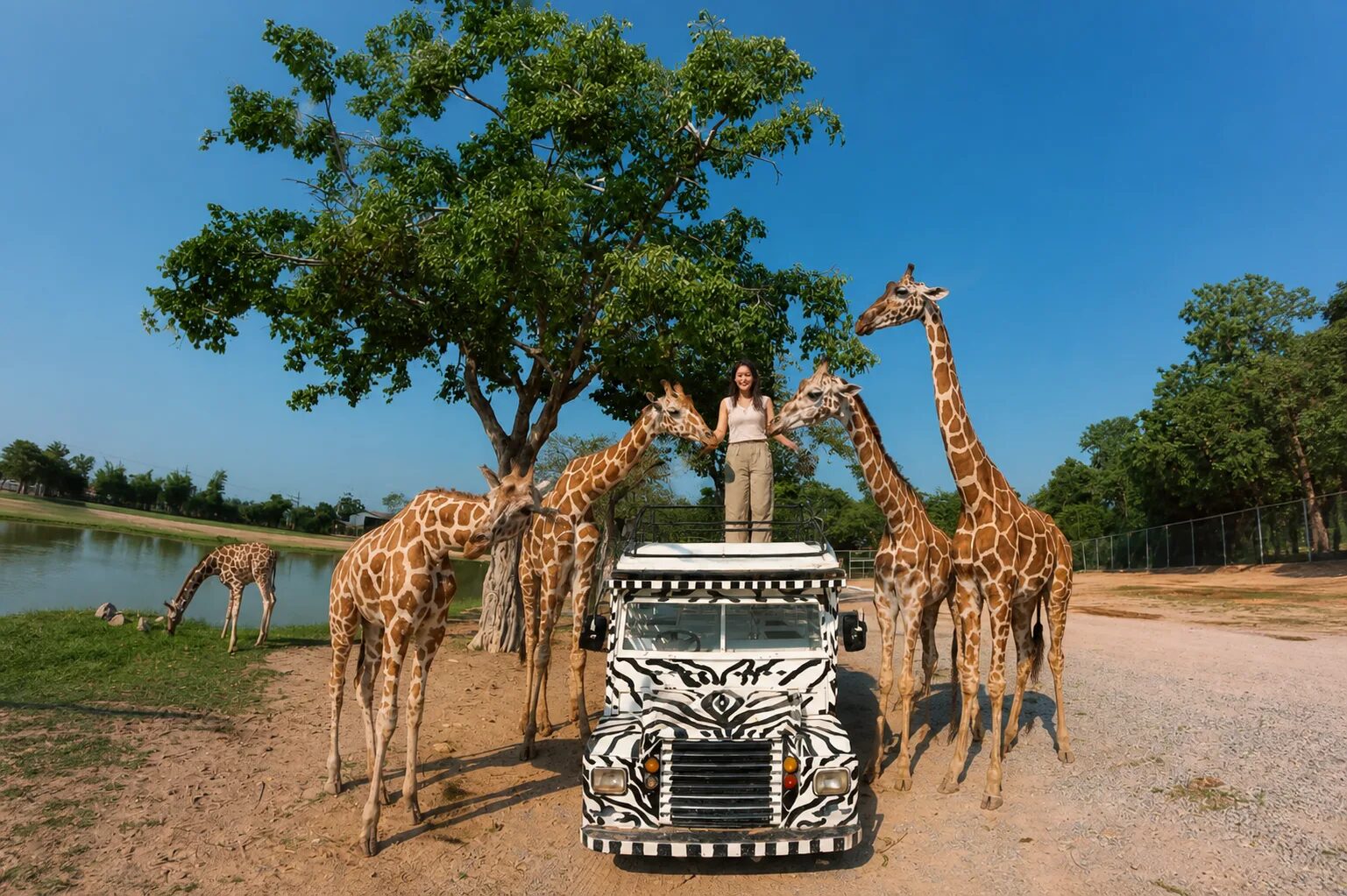 Travellers standing in a jeep at Kanchanaburi Safari Park surrounded by giraffes (AI-generated image)