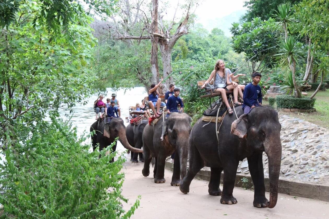Taweechai Elephant Camp in Kanchanaburi