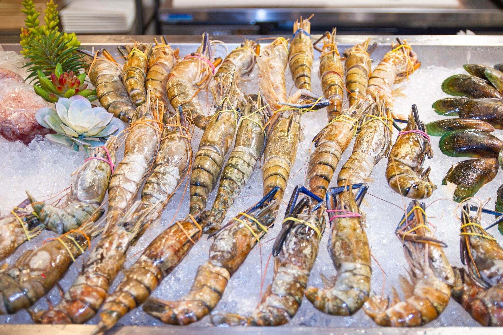 Giant river-prawn dishes at the Ayutthaya prawn market