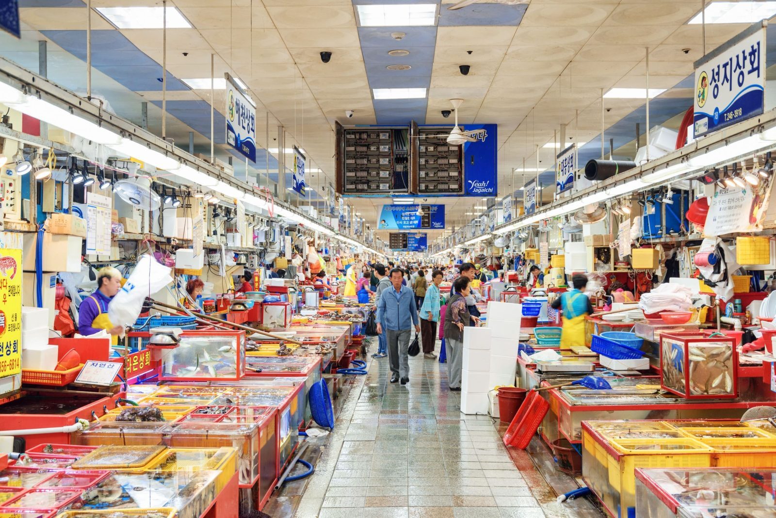 Jagalchi Market