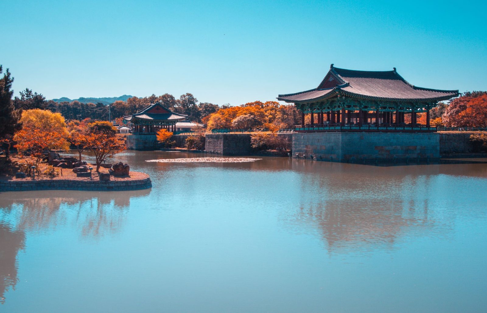 Busan and Gyeongju 5-day private charter: Haeundae coast and Bulguksa Temple