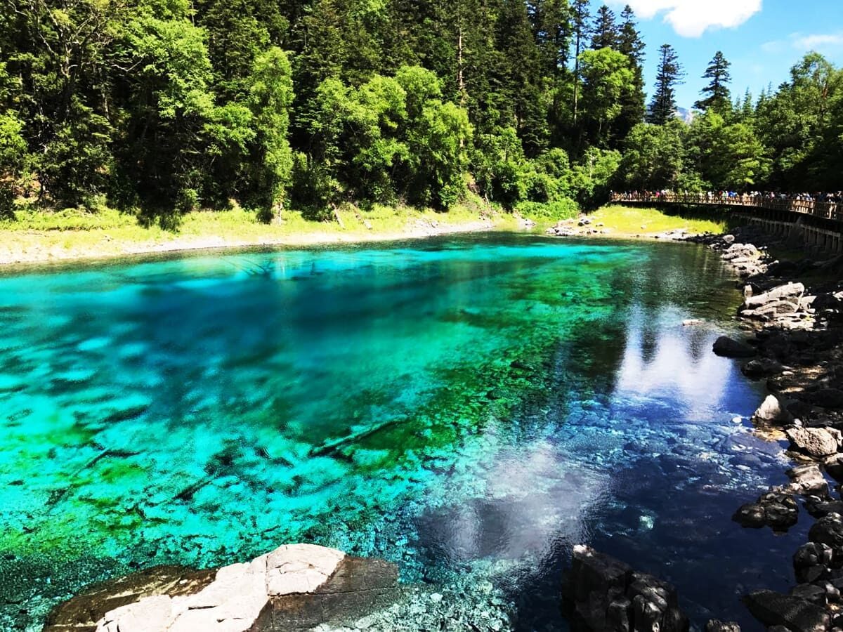 Turquoise water of the Five-Colour Pond in Jiuzhaigou Valley
