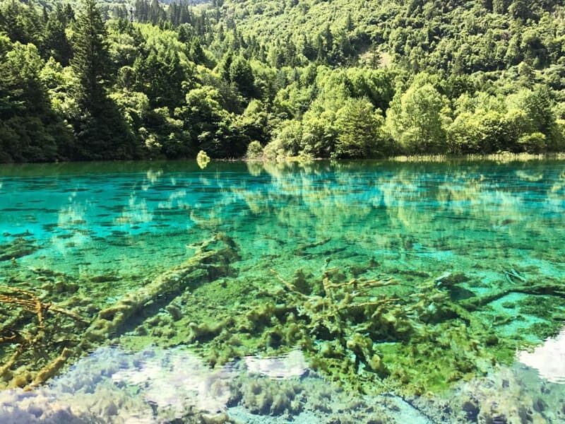 Crystal-clear turquoise water of Five-Flower Lake in Jiuzhaigou Valley