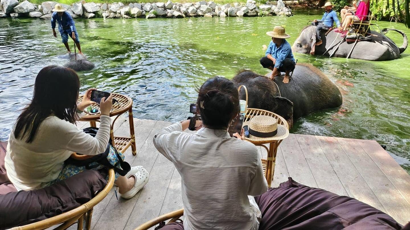 MongChang Cafe, the elephant cafe