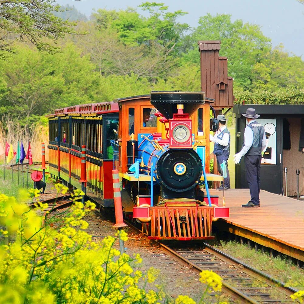 Ecoland Theme Park forest train