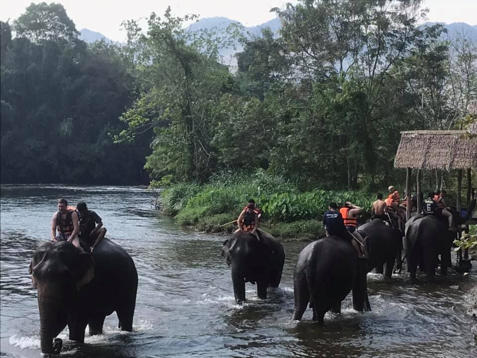 Natural grounds of Taweechai Elephant Camp, Kanchanaburi