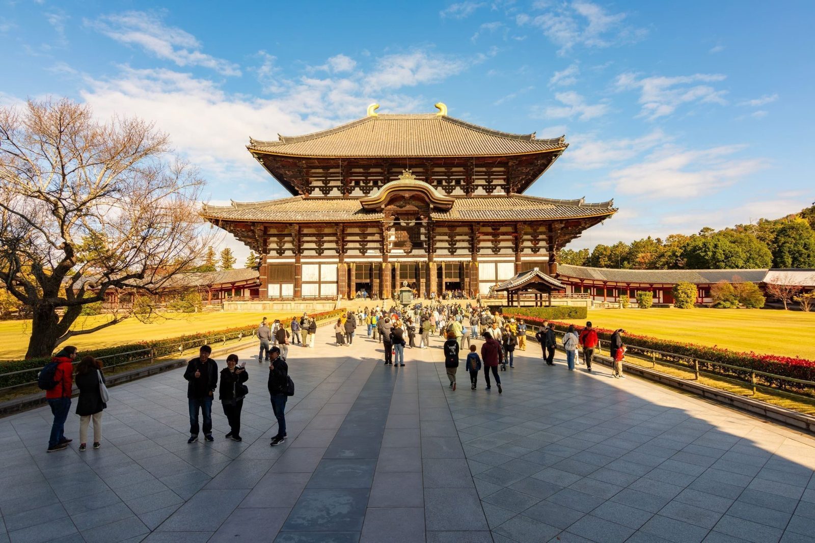 Kansai classic 6-day private charter through Nara, Kyoto, Kobe and Osaka