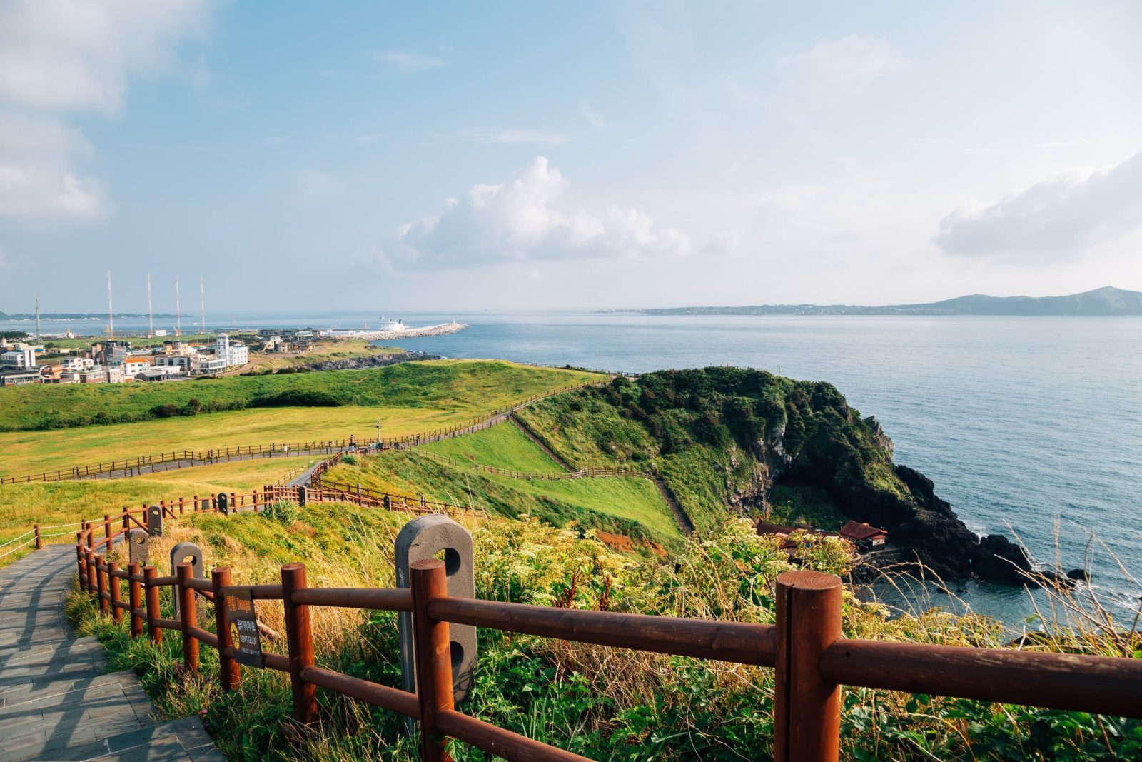 Jeju Island nature 5-day private charter: forest trails and the windmill coast