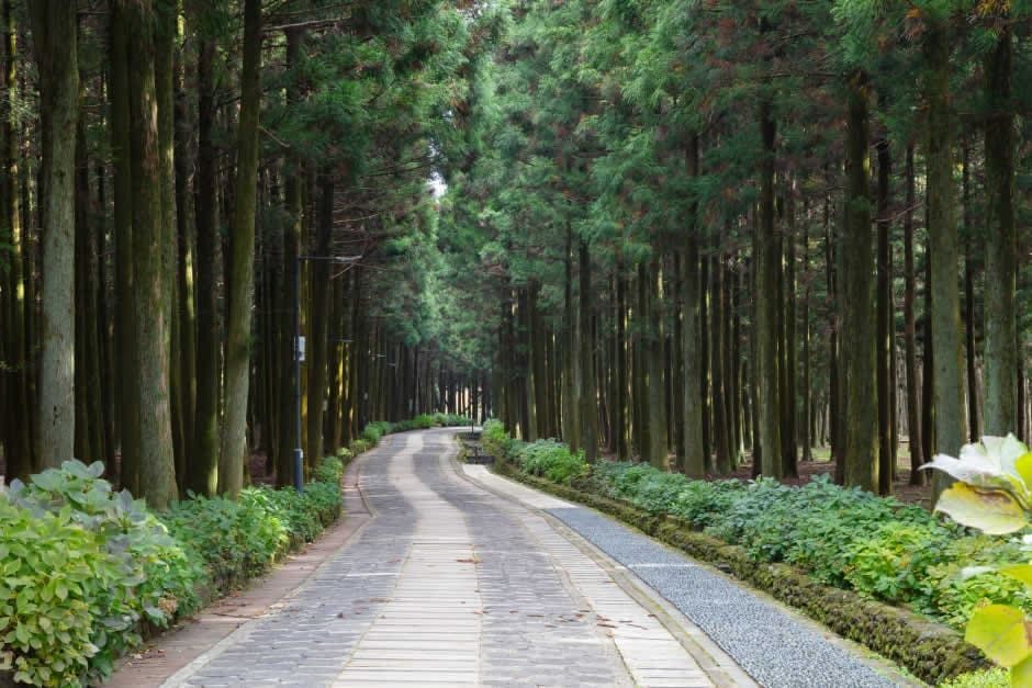 Jeolmul Natural Recreation Forest