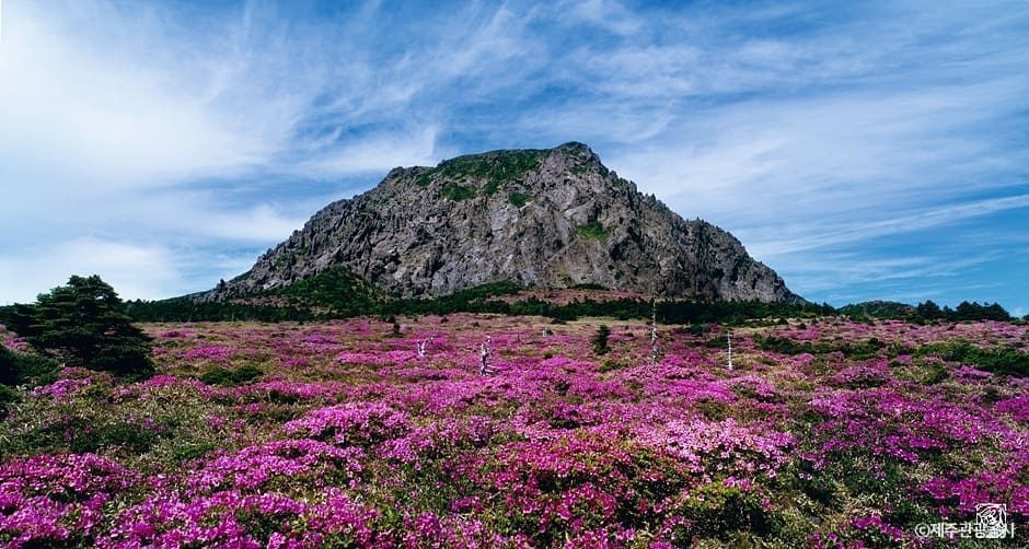 Hallasan National Park
