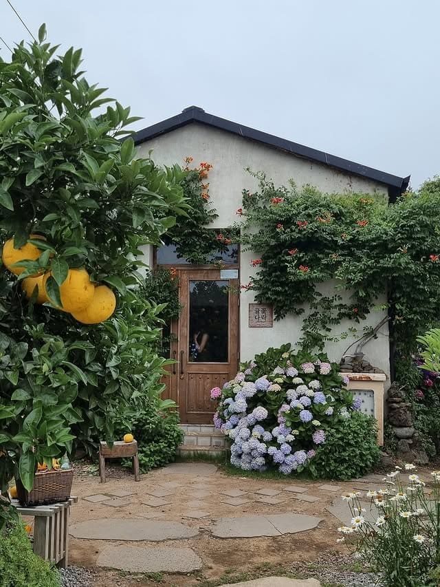 Gyulkkot Darak cafe