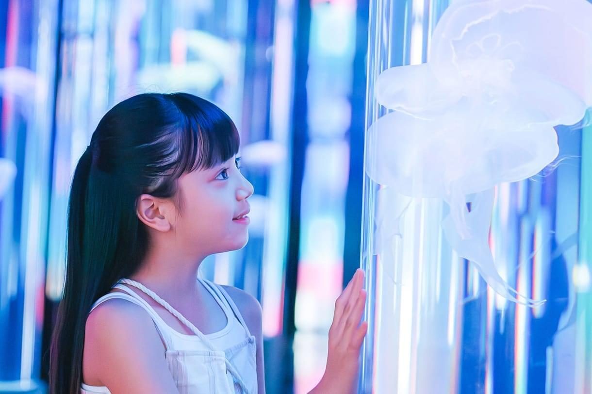 Jellyfish display at DMM Kariyushi Aquarium