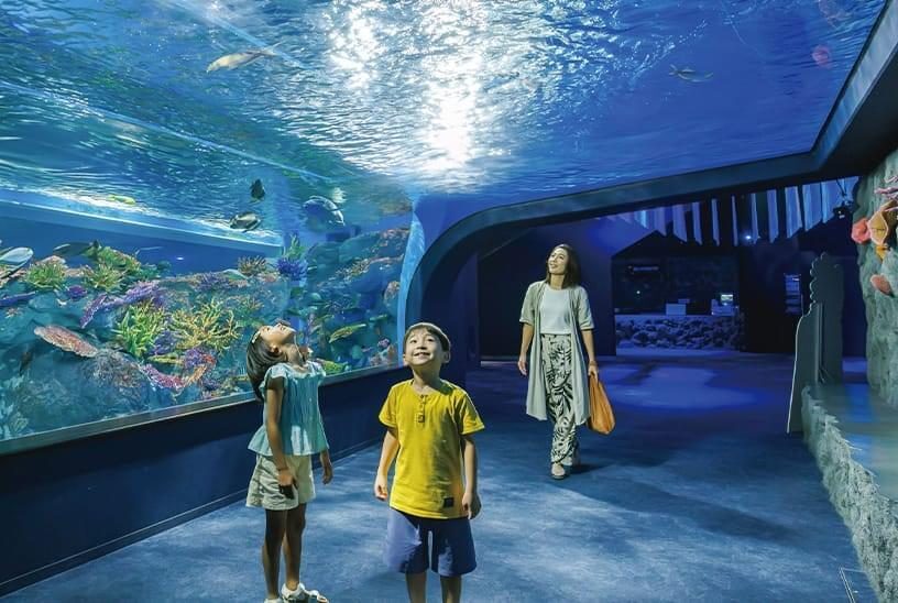 Underwater tunnel at DMM Kariyushi Aquarium