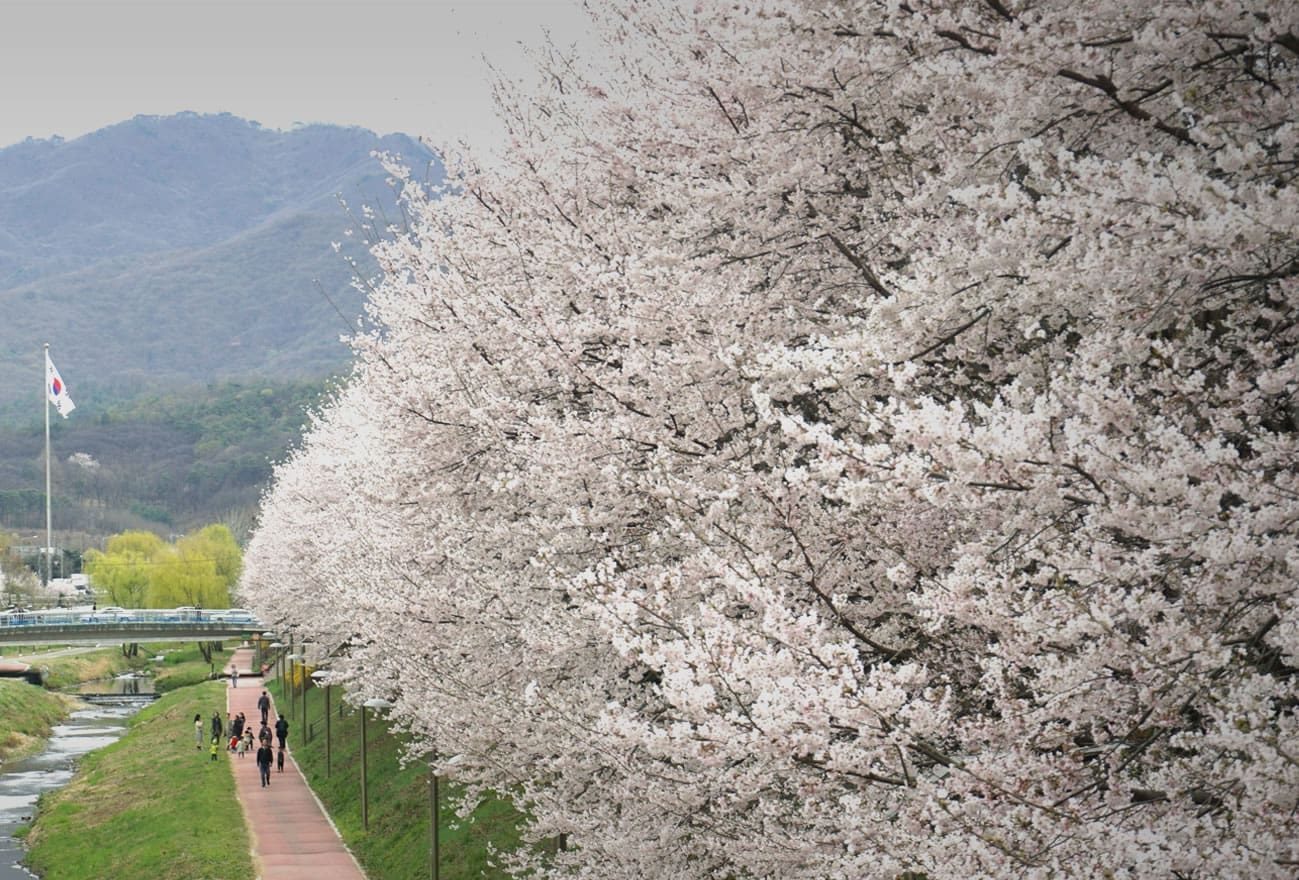 Yangjae Citizens' Forest