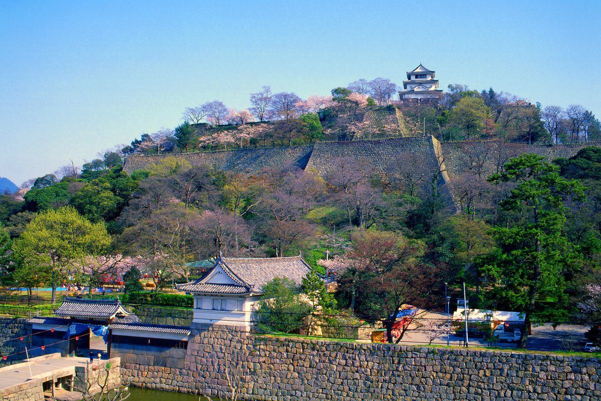 Marugame Castle, Kagawa: the fan-curved stone walls and surviving wooden keep under a clear sky