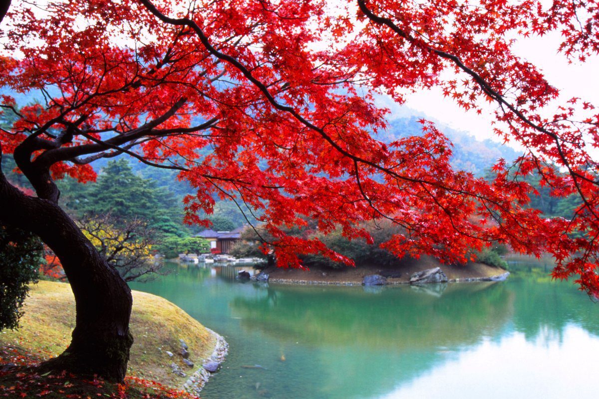 Ritsurin Garden, Takamatsu: the view from Hiraiho hill over the Kikugetsu-tei teahouse with Mt. Shiun as borrowed scenery
