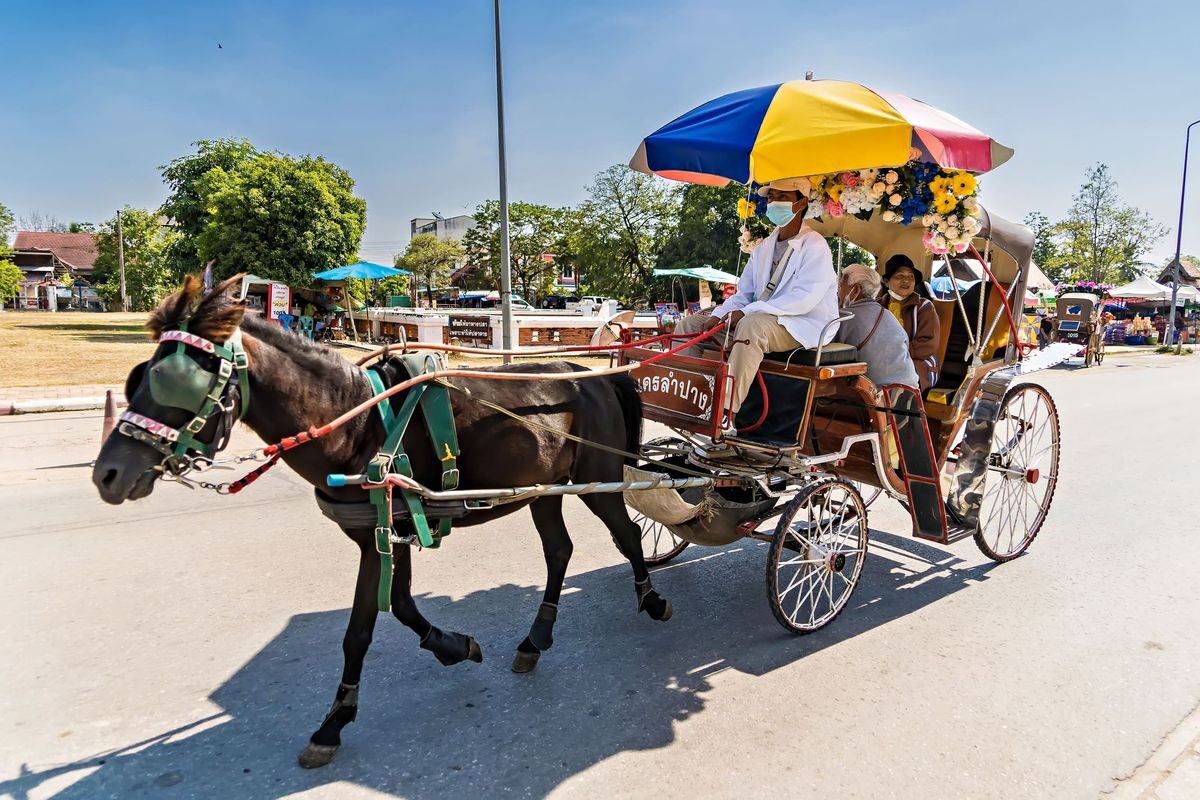 Highlights of the Chiang Mai & Sukhothai 5-day private charter: horse-drawn carriage in old Lampang