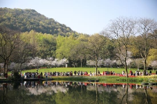Lakeshore, flower fields and distant hillside at Taiziwan Park
