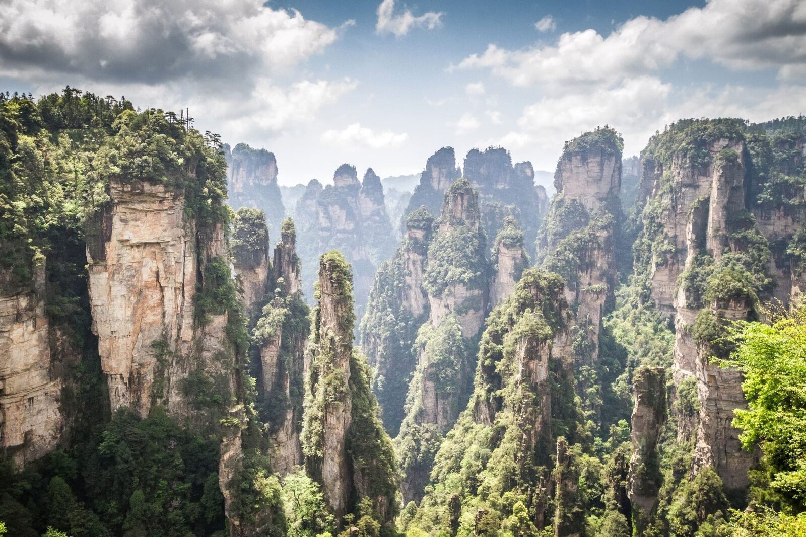 Sandstone pillar peaks of Zhangjiajie rising through the mist